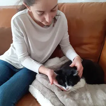 medecine_douce_naturelle_chat