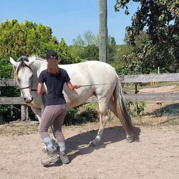 muscler_son_cheval