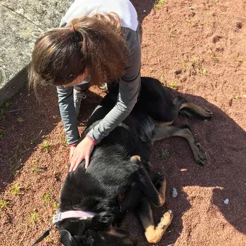 osteopathe_canin_aix_les_bains