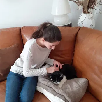 osteopathe_felin_energetique
