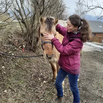 osteopathie_cheval_cranien