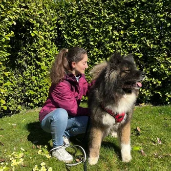 osteopathie_chien_haute_savoie