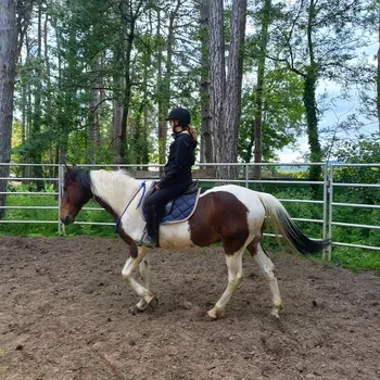 osteopathie_duo_cavalier_et_cheval