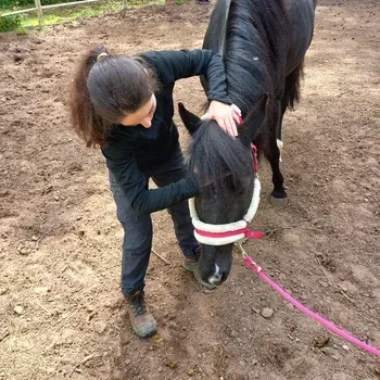 osteopathie_equine_energetique_haute_savoie