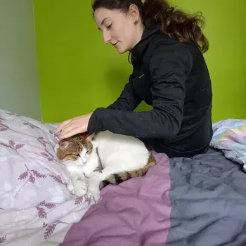 seance_osteopathie_humains_et_animaux