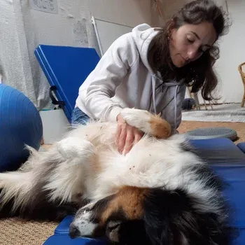 therapie_fascias_chien_savoie